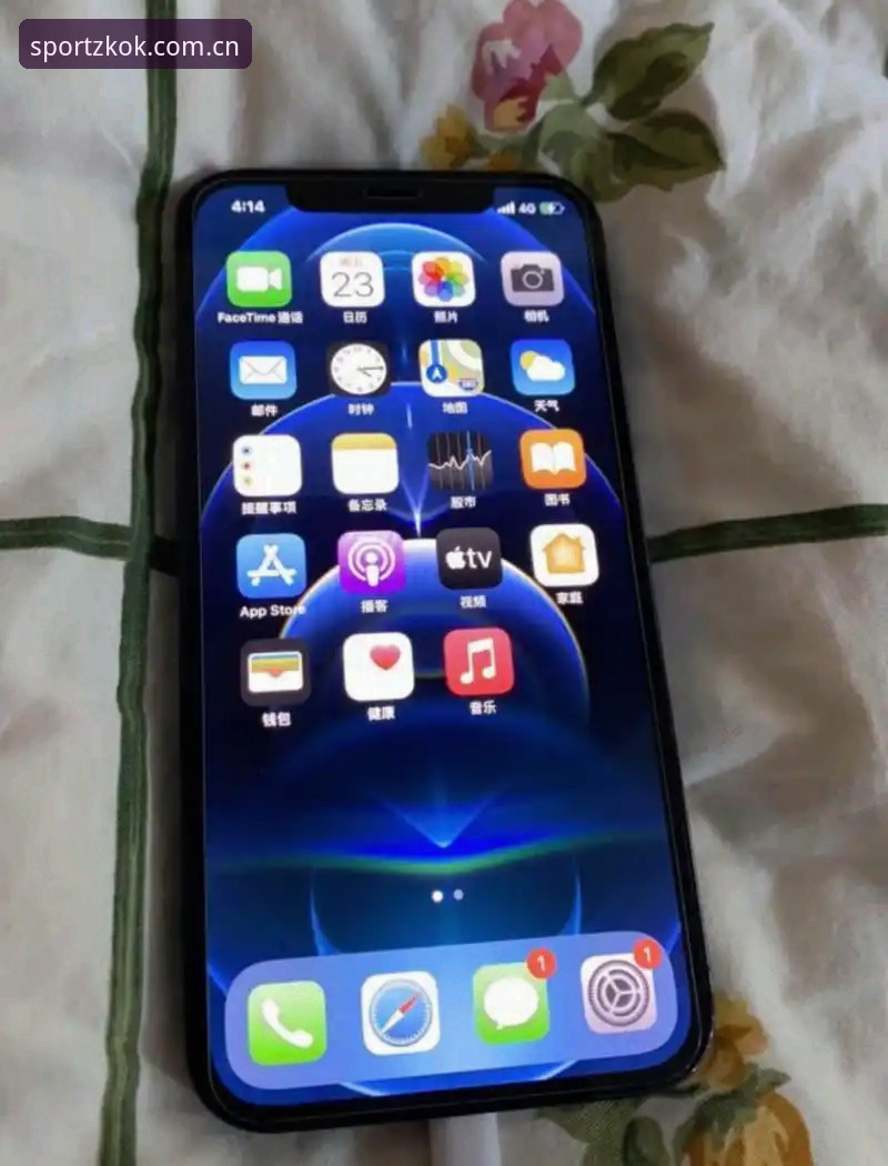 为什么选择kok苹果版？从多维度解析正版下载与使用体验