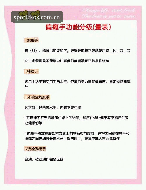 从新手到老手：kok中欧平台实时互动评测与使用心得全分享
